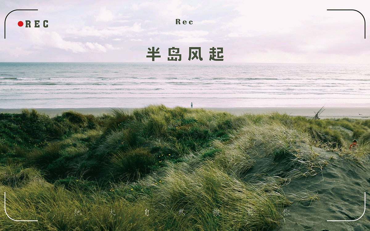 1677147519431080.gif 16.gif